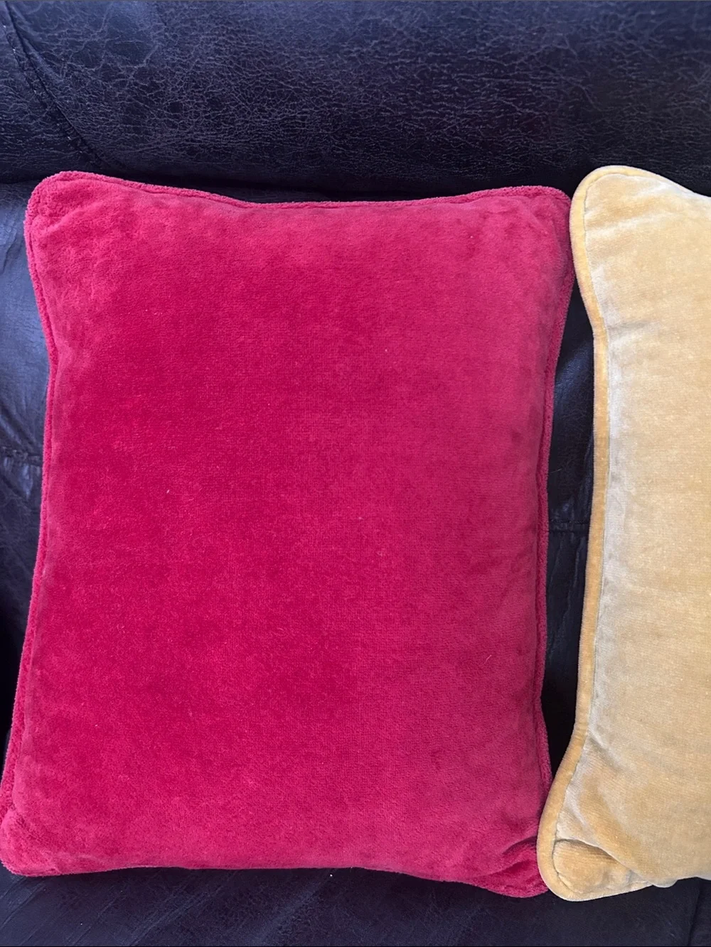 (2) Vintage Bird Throw Pillows -Small